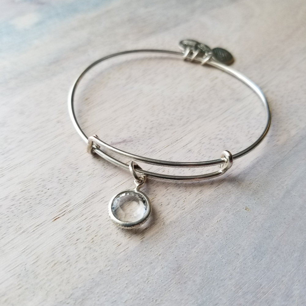 Alex and Ani Clear Crystal Charm Bangle